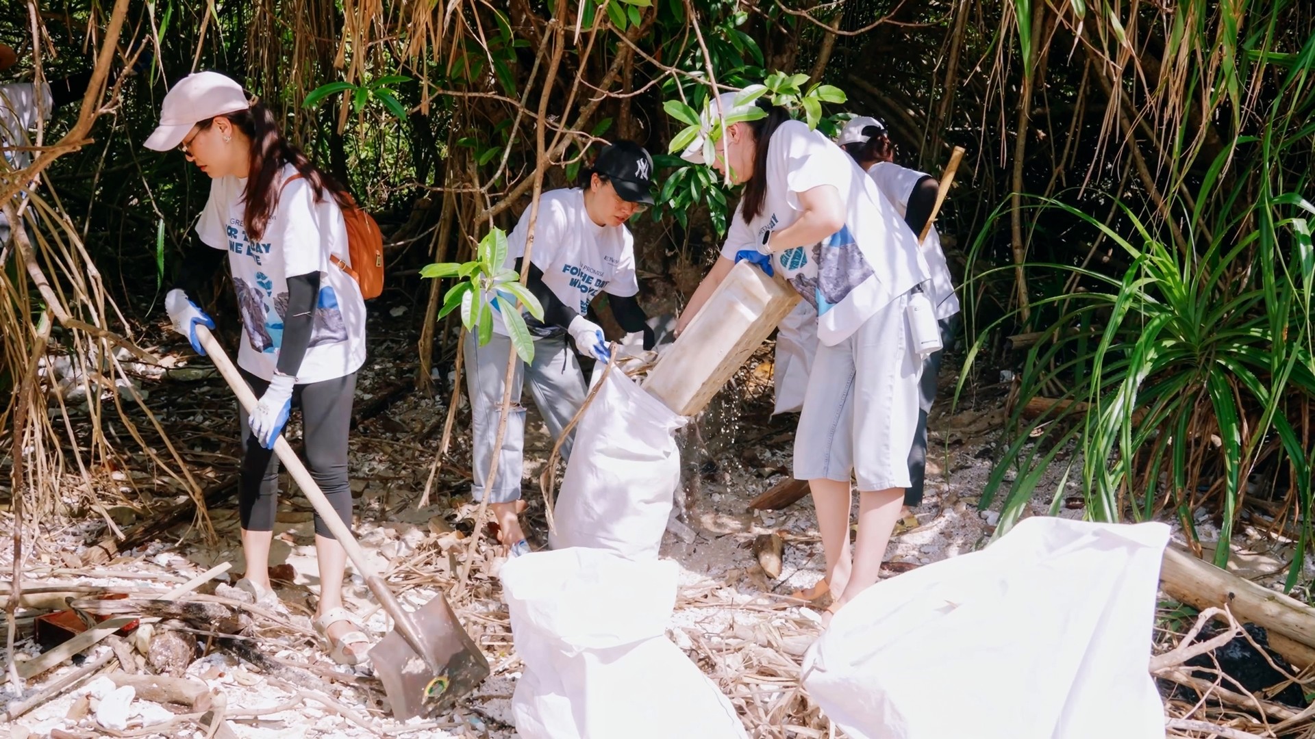 clean-the-bay-20261-1780299212.jpg