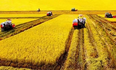 Tư duy đổi mới sáng tạo trên nền tảng bản sắc văn hóa (Bài 14)