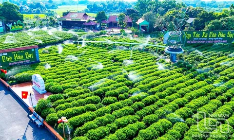 Sự liêm chính – Tài sản vô hình quý giá của nhân hiệu (Bài 12)
