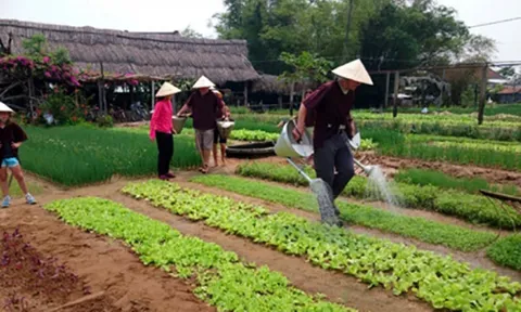 Du lịch nông nghiệp trải nghiệm: Khơi nguồn giá trị nội sinh văn hóa làng quê để phát triển bền vững