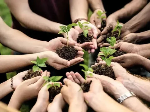 Cơ chế huy động cộng đồng trong duy trì trật tự và vệ sinh môi trường đô thị