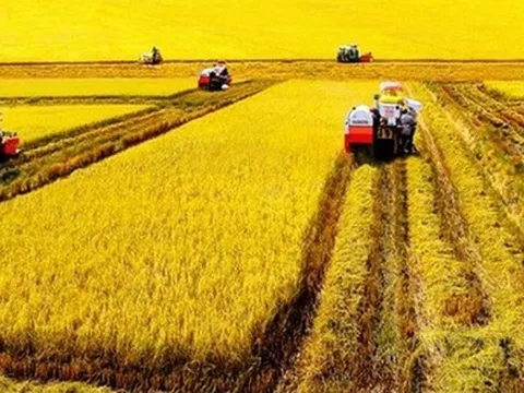 Tư duy đổi mới sáng tạo trên nền tảng bản sắc văn hóa (Bài 14)