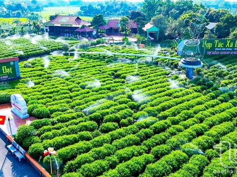 Sự liêm chính – Tài sản vô hình quý giá của nhân hiệu (Bài 12)