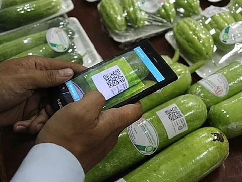 Văn hóa thượng tôn pháp luật trong quản trị thương hiệu (Bài 13)