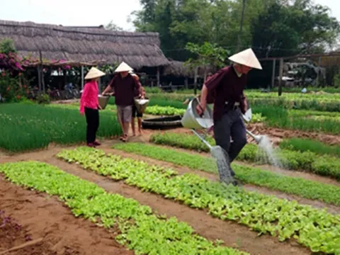 Du lịch nông nghiệp trải nghiệm: Khơi nguồn giá trị nội sinh văn hóa làng quê để phát triển bền vững